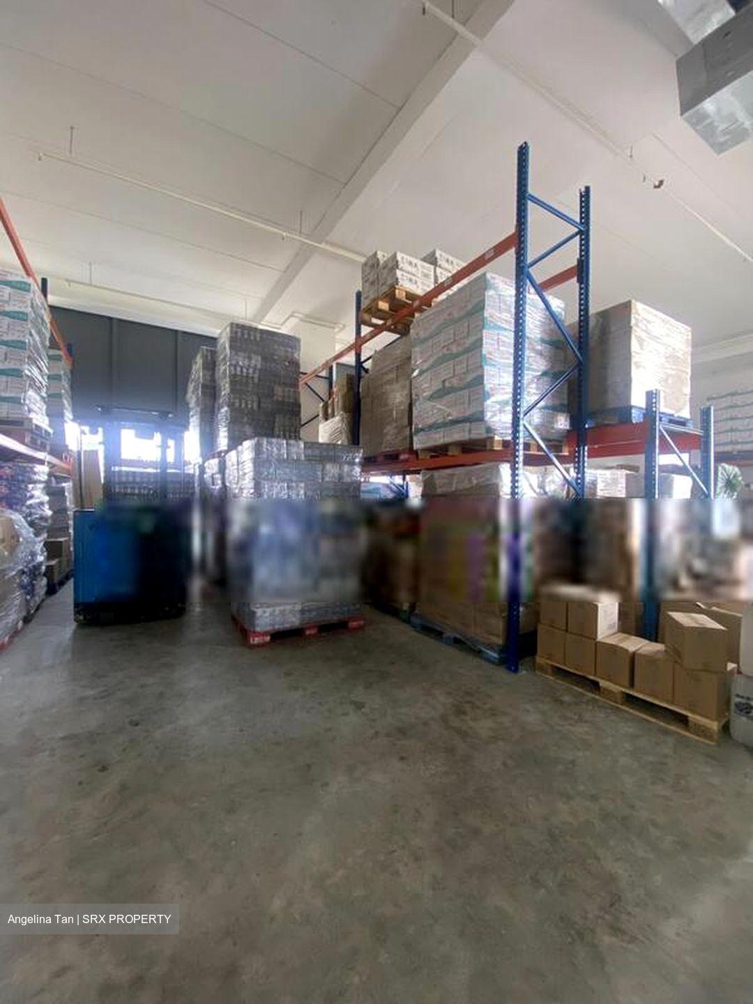 REVV (D22), Factory #452290461